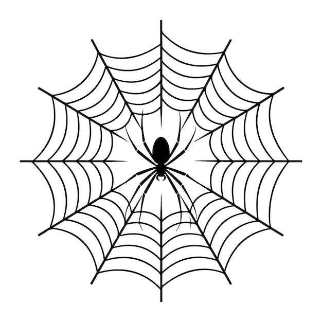 Red de araña