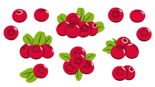 Red Berry Lingonberries Set Flat Berries con hojas Colección de ilustraciones aisladas en blanco