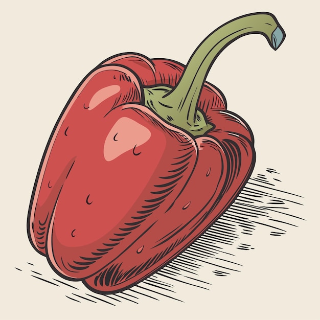 Red Chili Pepper Realista Unico Objeto