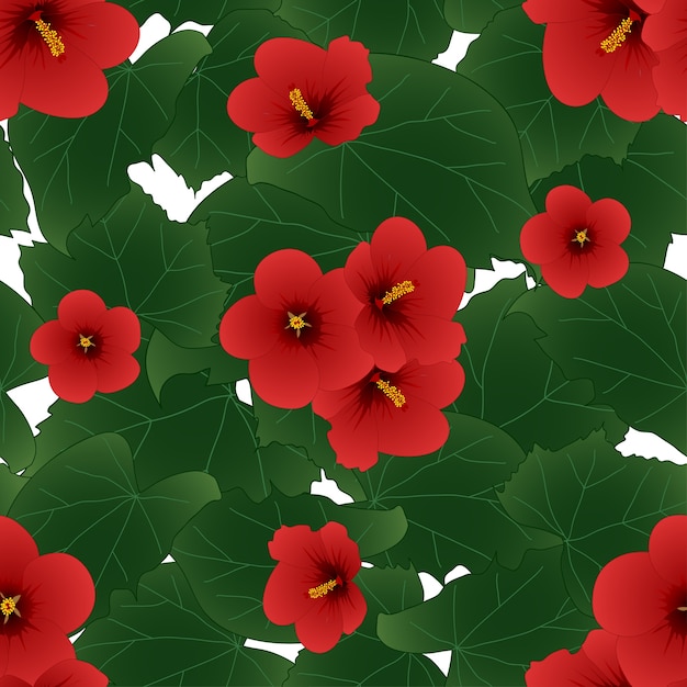 Vector red hibiscus syriacus - fondo de rosa de sharon