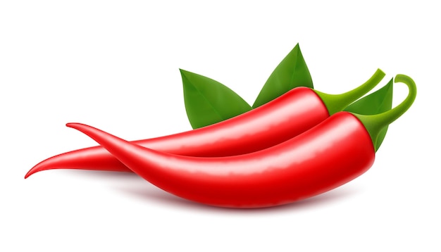 Vector red hot natural chile pepper pod con sombra aislada en blanco ilustración vectorial 3d realista diseño para comestibles productos culinarios condimentos y especias paquete receta decoración del sitio web