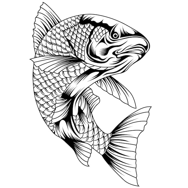 Vector redfish fishing logo template fresh and unique redfish aka reddrum fish saltar fuera del agua