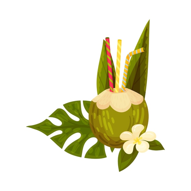 Refrescante cóctel en una cáscara de coco verde con tres pajitas a rayas una flor de vainilla y decorado con varias hojas de palma aisladas sobre fondo blanco