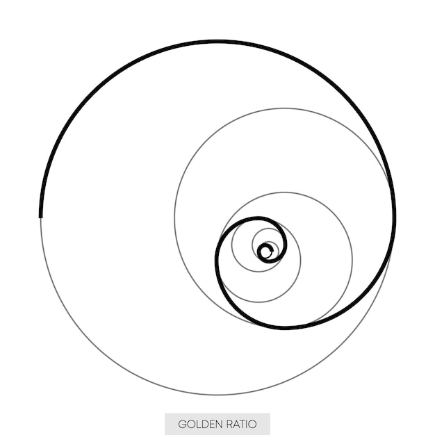 Relación dorada Círculos en proporción dorada Formas geométricas Estilo minimalista Ilustración vectorial