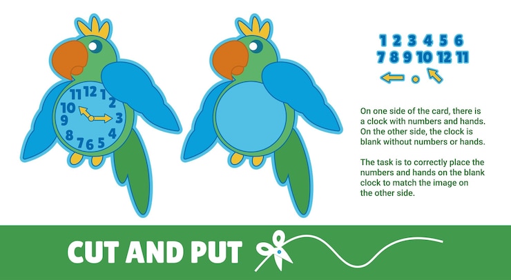 Vector relojes de aprendizaje de loro
