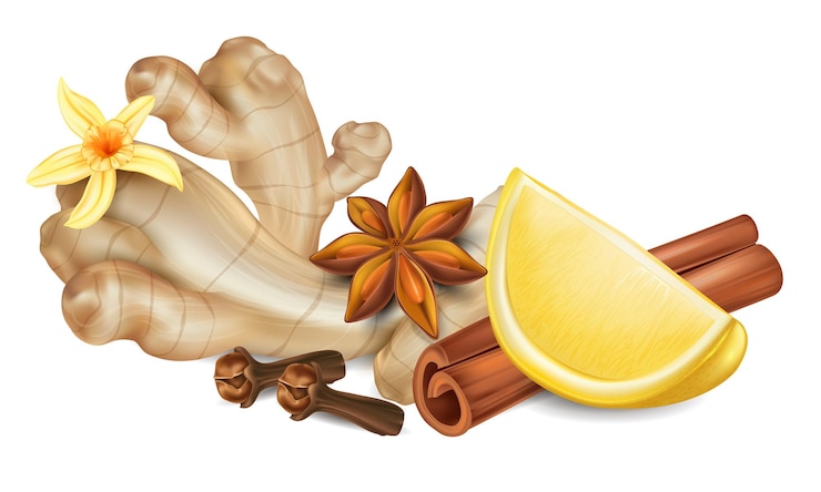 Vector remedios naturales realistas para el té.