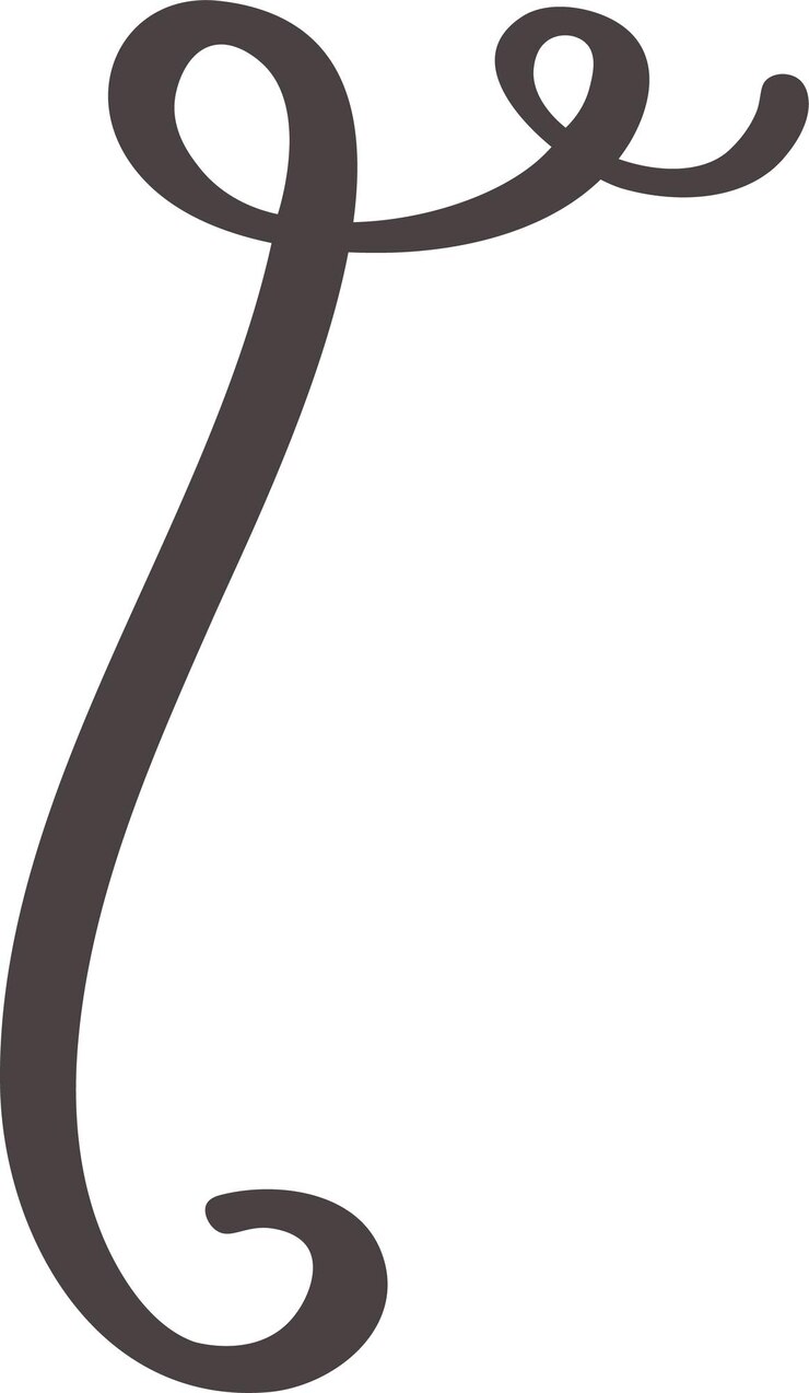 Vector el remolino dibujado a mano crea un elemento de diseño sofisticado y elegante perfecto para mejorar el atractivo visual y agregar un toque de gracia a varios proyectos creativos