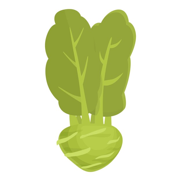 Repollo colinabo icono dibujos animados vector Planta natural Vegetal orgánico