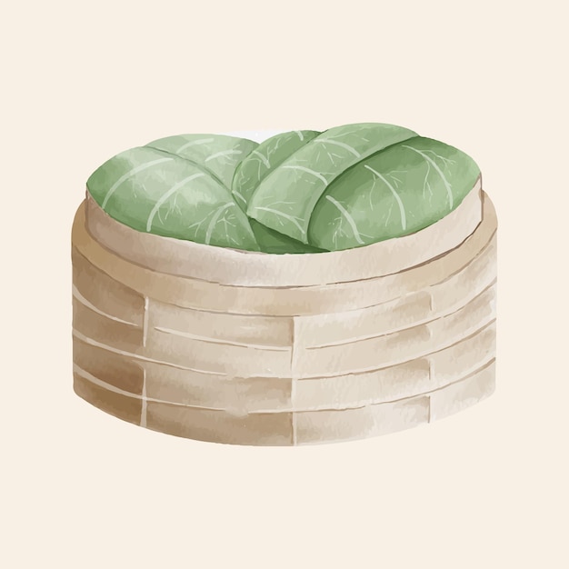 repollo comida asiática ilustración acuarela