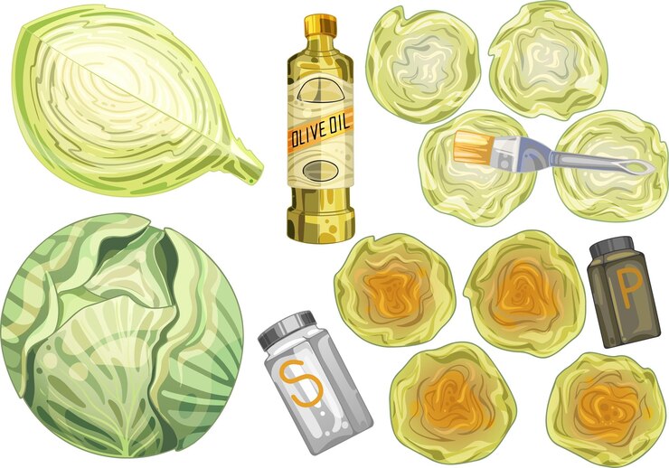 Vector repollo en diferentes ángulos. filete de repollo cocinado con aceite de oliva y especias. dibujado en rebanadas