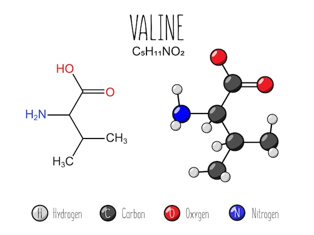 Representación del aminoácido valina