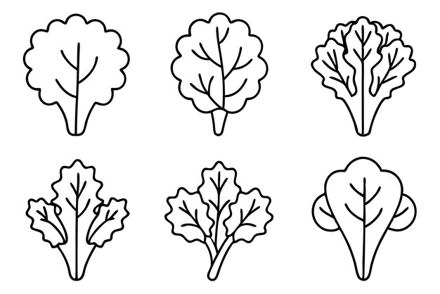 Representación artística de la línea de hojas de brócoli