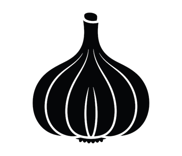 Representación monocromática de un bulbo de ajo fresco
