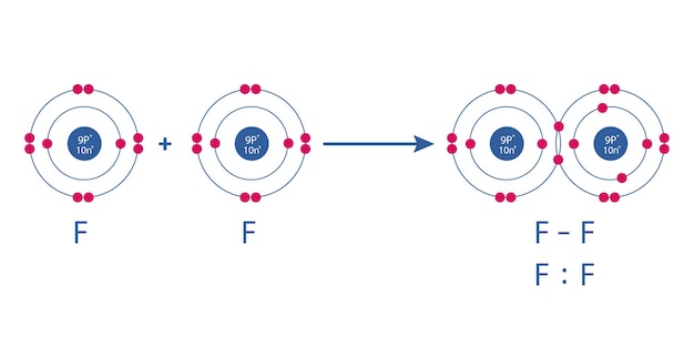 Representación vectorial conceptual de una molécula de flúor compuesta por dos átomos y los tipos de química