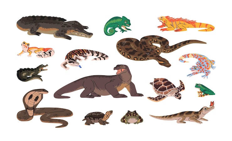 Vector reptiles exóticos conjuntos animales anfibios serpientes lagartos fauna tropical cocodrilo tortuga iguana geco varano cobra anaconda sapo con cuernos ilustración de vector aislado plano en blanco