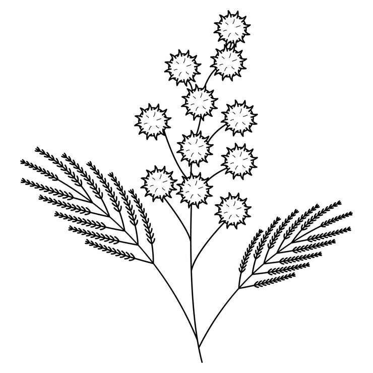 Vector resumen flor dibujada a mano planta botánica floral naturaleza bloom doodle concepto diseño vectorial esquema