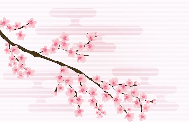 Vector resumen floral sakura flor fondo natural japonés