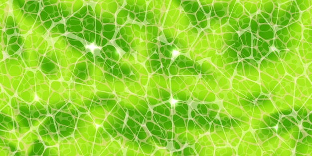 Resumen patrón transparente verde o textura de células vegetales bajo un microscopio