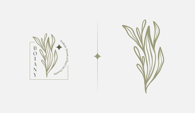Resumen Planta Botánico Flor Arte lineal Dibujo lineal Símbolo premium creativo universal Ilustración vectorial Plantilla de diseño minimalista creativo