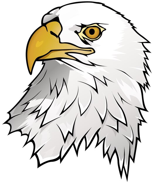 Retrato de águila calva aislado sobre fondo blanco Vector de ilustración gráfica