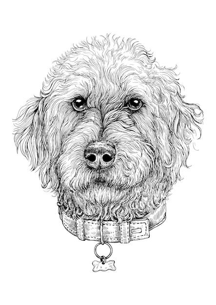 Retrato en blanco y negro de tinta vectorial de perro con collar