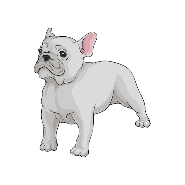 Vector retrato de boston terrier perro en pose lindo cachorro con abrigo corto blanco casa mascota animal doméstico icono de vector de dibujos animados