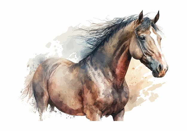 Retrato de caballo Acuarela ilustración dibujada a mano aislada sobre fondo blanco