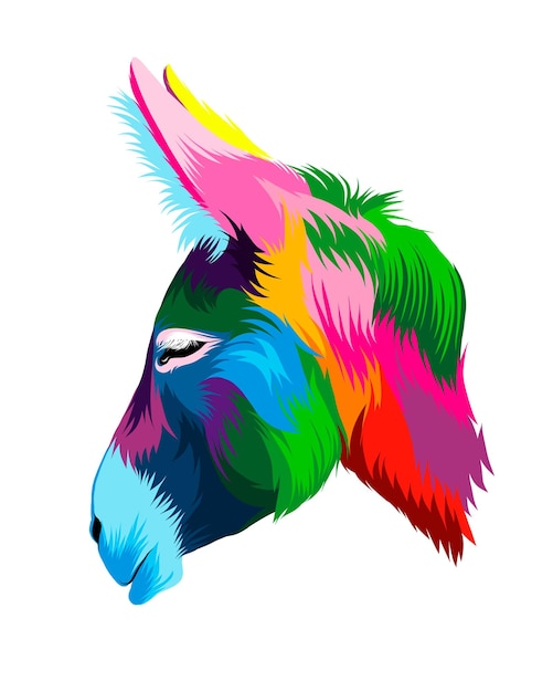 Retrato de cabeza de burro abstracto de pinturas multicolores Dibujo coloreado Ilustración vectorial