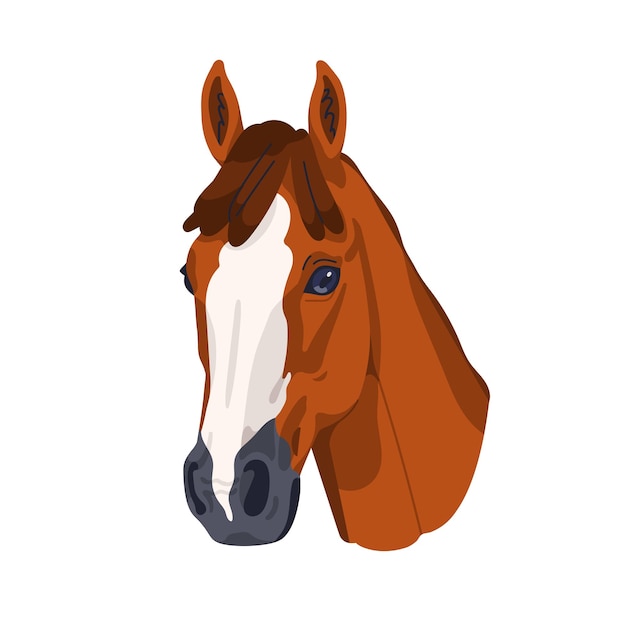 Retrato de cabeza de caballo de raza galesa hermoso semental de pura sangre con pelaje bicolor avatar de animal equino de pura raza gráfico vectorial plano aislado sobre fondo blanco