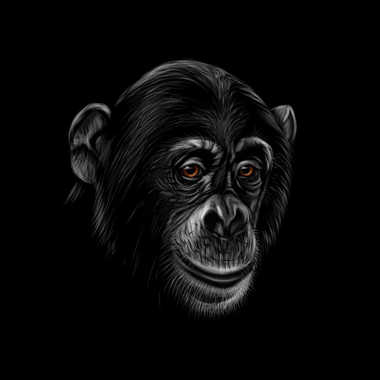 Vector retrato de una cabeza de chimpancé sobre un fondo negro. ilustración