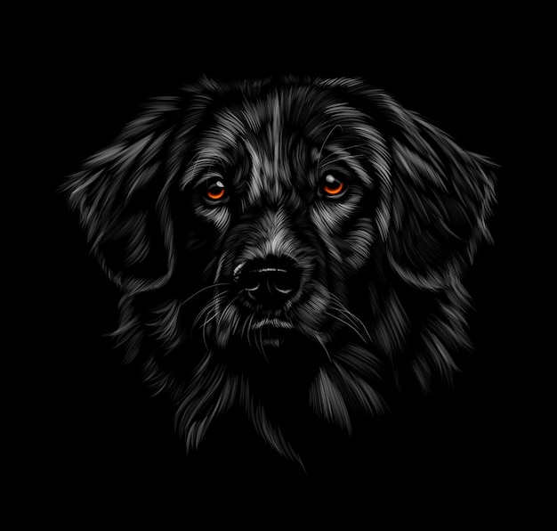 Retrato de la cabeza de un Labrador retriever sobre un fondo negro Ilustración vectorial de pinturas