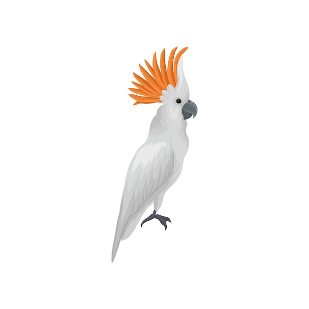 Retrato de cacatúa de cresta de azufre Gran loro tropical Pájaro exótico Elemento de vector plano para libro educativo o cartel publicitario