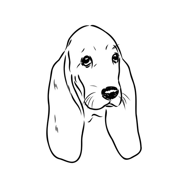 Retrato de contorno decorativo de pie en perfil Basset Hound vector ilustración aislada