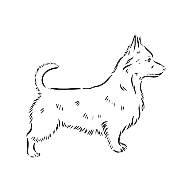 Retrato de contorno decorativo del vector de perro terrier australiano