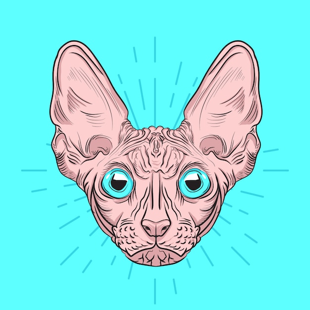 Retrato dibujado a mano de lindo gato Sphynx con ilustración de estilo de grabado