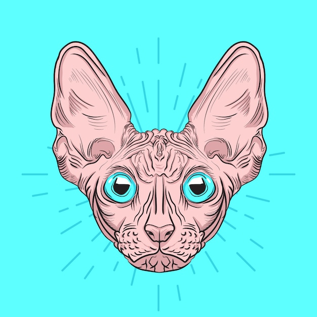 Retrato dibujado a mano de lindo gato sphynx con ilustración de estilo de grabado