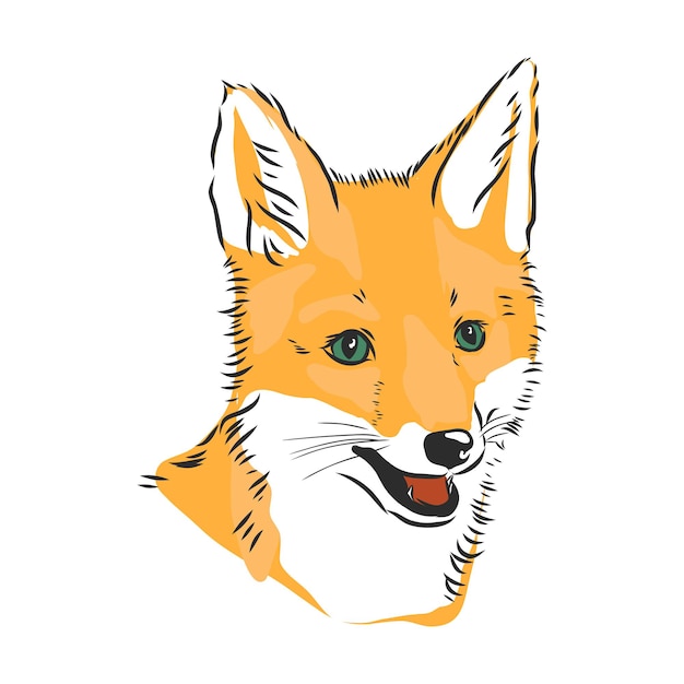 Retrato de Fox Ilustración de vector dibujado a mano retrato de una ilustración de dibujo de vector de cabeza de Fox Fox