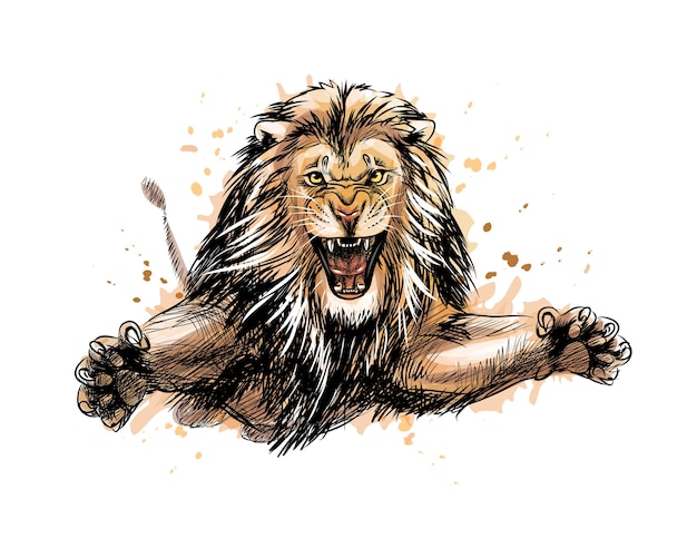 Retrato de un león saltando de un toque de acuarela, boceto dibujado a mano. ilustración de pinturas