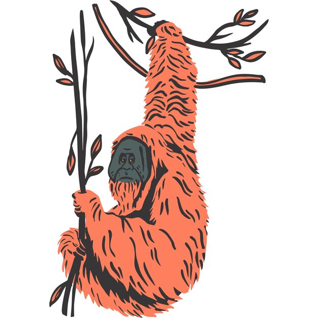 Retrato del orangután suave Ilustración de la vida silvestre del gran mono sabio y adorable