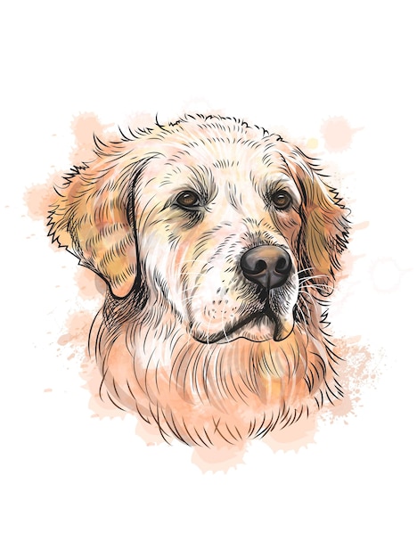 Retrato de un perro boceto dibujado a mano con un toque de ilustración de watercolorsdog