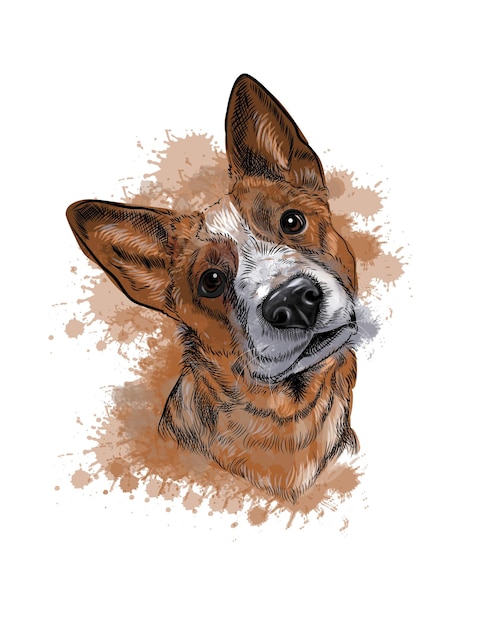 Vector retrato de un perro boceto dibujado a mano con un toque de ilustración de watercolorsdog