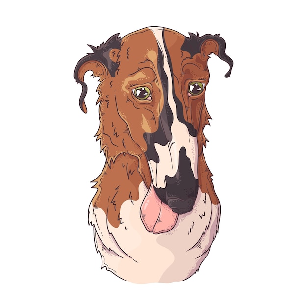 Retrato de perro borzoi dibujado a mano