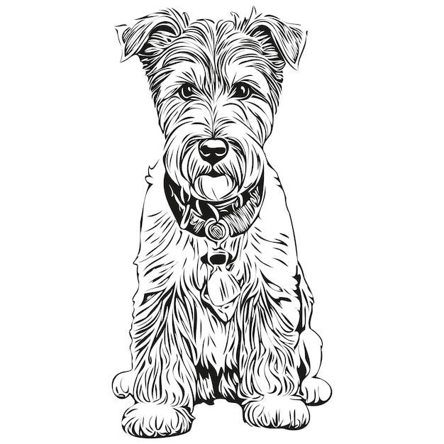 Retrato de perro lakeland terrier en dibujo manual de animal vectorial para tatuaje o camiseta impresa ilustración mascota de raza realista