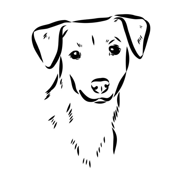 Retrato de perro Pinscher miniatura en dibujo a mano de animal vectorial para tatuaje o camiseta impresión ilustración dibujo vectorial de pinscher austriaco