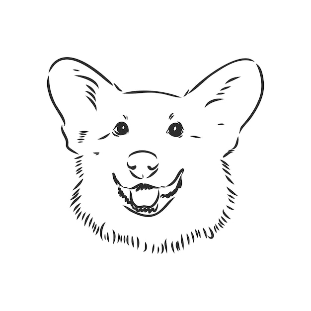 Vector retrato de vector de welsh corgi pembroke dibujado a mano ilustración de perro doméstico