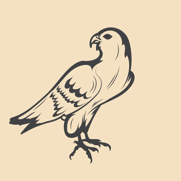 Retro falcón Vector de aves Ilustración de acciones