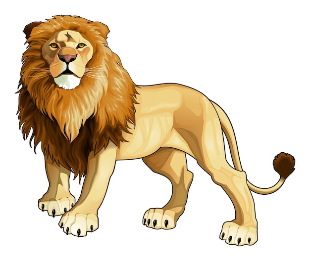 Vector rey leon