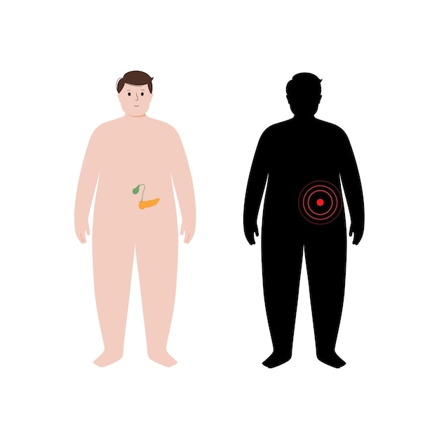 Órganos en el cuerpo humano obeso