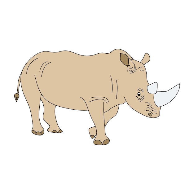 Vector rhino clipart dibujos animados animales salvajes set de clipart para los amantes de la vida silvestre