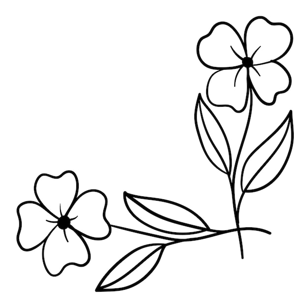 Rincón botánico, adorno de flores y hojas para decoración.